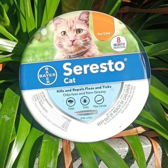 Seresto Cat Seresto Cat Flea And Tick Collar Suitable For Cats Of